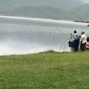 30741598 177561733064202 1874633377936572416 n