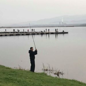 30742088 177563393064036 8921963283699728384 n