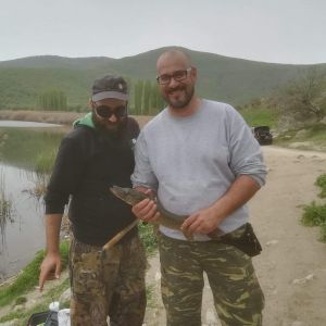 30742367 177562993064076 3328927557973180416 n